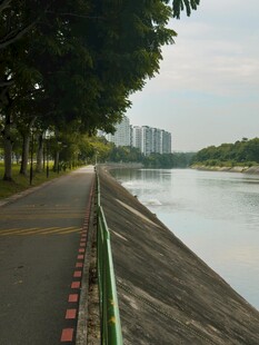 河边林荫步道风景