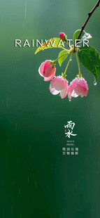 雨水节气