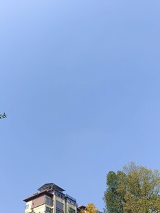 蓝天绿树旁的别致建筑