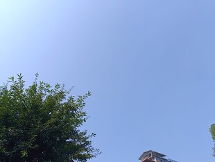 蓝天绿树屋顶景致