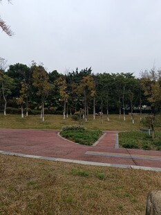 公园户外景色优美步道