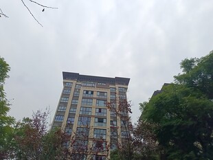 高楼耸立于绿树环绕间