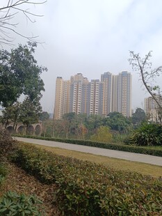 城市住宅区旁的绿化景观