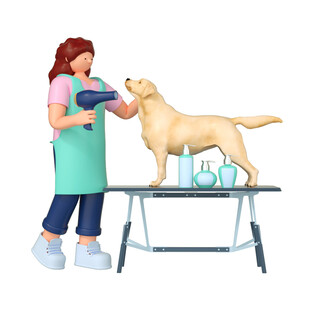 女士为金毛犬进行护理