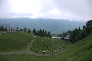 山间绿野漫步风景