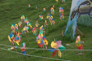 多彩风车装点户外草地