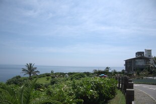 海边公路旁的绿植与建筑