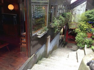 中式庭院小道绿植景观