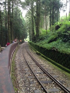 林间蜿蜒的铁路轨道