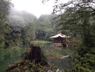 雾中溪边的静谧凉亭