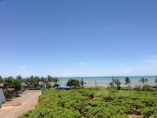 海滨绿植景观 蓝天碧海