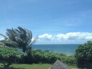海边风景 椰树蓝天碧海