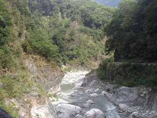 山间湍急河流与葱郁植被