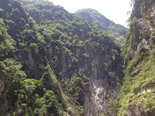 翠绿山谷间的壮丽自然景观