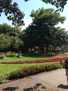 公园小径漫步美景