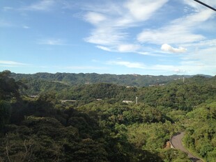 俯瞰葱郁山林美景