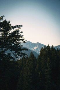山林间的远山景致