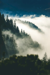 山间云雾缭绕的森林美景