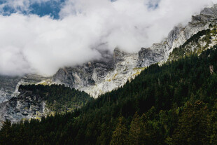 云雾缭绕的山林美景