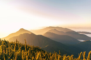 日出下的山峦与金黄植被