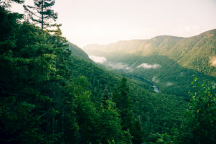 山间晨景