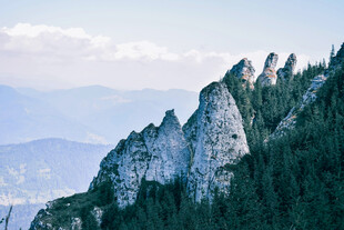 巍峨山峰与葱郁林木景观
