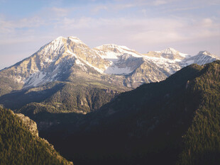 壮丽雪山与葱郁山林景观