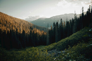 山林间的静谧美景