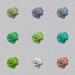 多彩立体花朵装饰图案