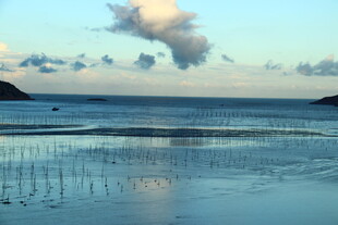 海边日落美景 滩涂静谧