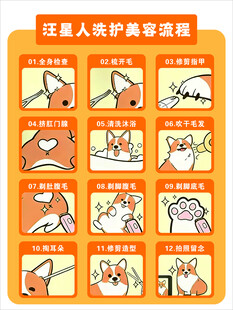 宠物洗护美容流程 