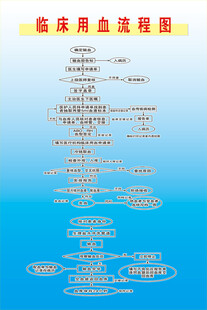 临床用血流程图
