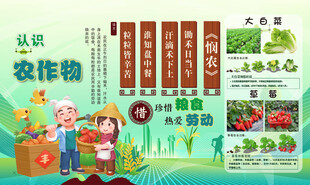 认识农作物