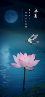 月夜下的绽放荷花