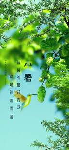 绿叶间灵动的小鸟