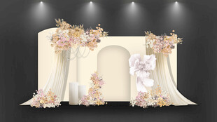 香槟色婚礼留影区