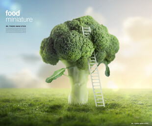 奇幻西兰花树与梦幻梯子