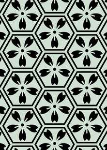黑白六边形花纹图案