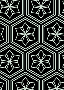 几何六边形黑白花纹图案