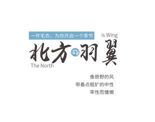 北方羽翼公司标志展示