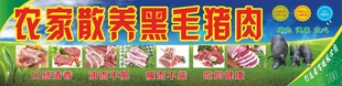 黑毛猪肉美食海报