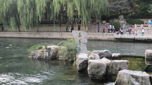 河畔垂柳与石景