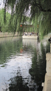 河畔垂柳下的静谧小船