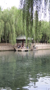 湖畔垂柳下的静谧小船