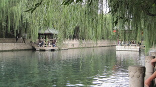 河畔垂柳下的悠然小船