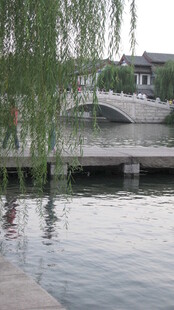 河畔垂柳下的石桥风景