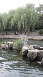 河畔垂柳与水中石块景观