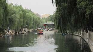 河畔垂柳下的悠然河道