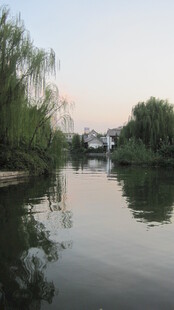 河畔垂柳映水宁静景致