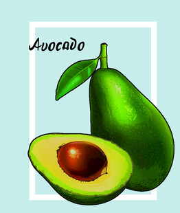手绘牛油果插画